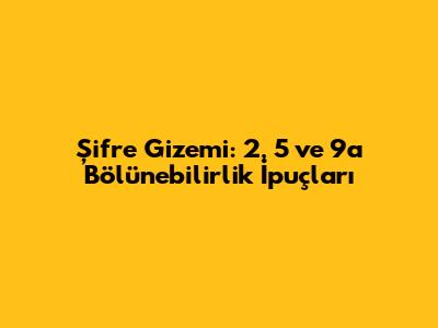 Şifre Gizemi: 2, 5 ve 9'a Bölünebilirlik İpuçları