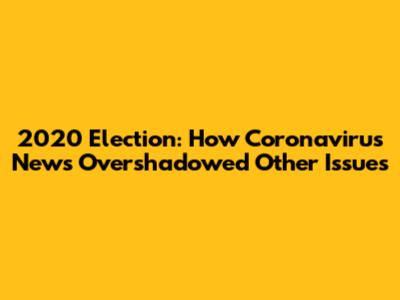 2020 Election: How Coronavirus News Overshadowed Other Issues