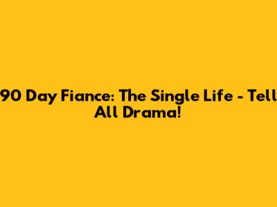 90 Day Fiance: The Single Life - Tell All Drama!