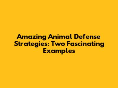 Amazing Animal Defense Strategies: Two Fascinating Examples