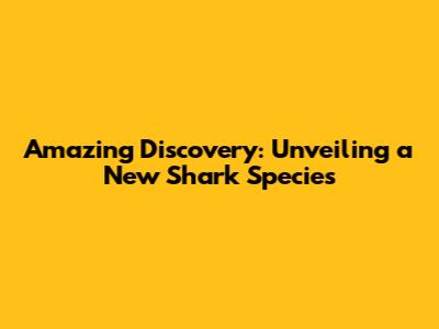 Amazing Discovery: Unveiling a New Shark Species