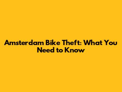 Amsterdam Bike Theft: What You Need to Know