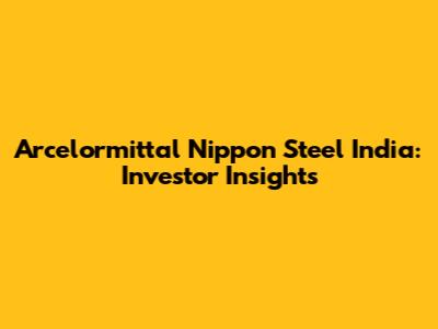 Arcelormittal Nippon Steel India: Investor Insights