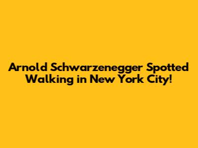 Arnold Schwarzenegger Spotted Walking in New York City!