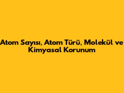 Atom Sayısı, Atom Türü, Molekül ve Kimyasal Korunum