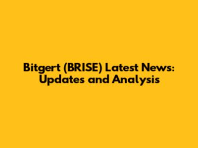 Bitgert (BRISE) Latest News: Updates and Analysis