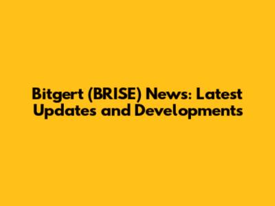 Bitgert (BRISE) News: Latest Updates and Developments