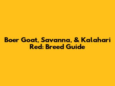 Boer Goat, Savanna, & Kalahari Red: Breed Guide