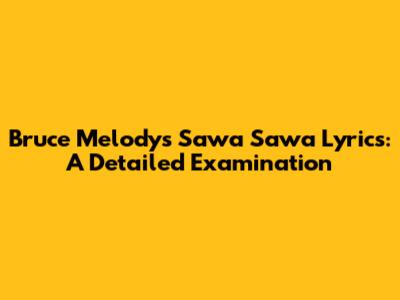 Bruce Melody's 'Sawa Sawa' Lyrics: A Detailed Examination