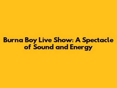 Burna Boy Live Show: A Spectacle of Sound and Energy