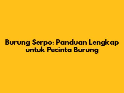 Burung Serpo: Panduan Lengkap untuk Pecinta Burung