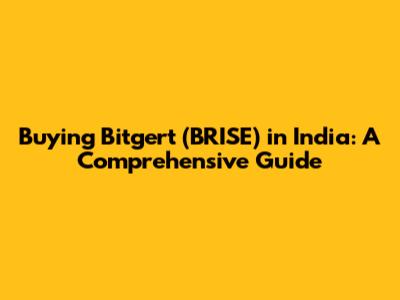 Buying Bitgert (BRISE) in India: A Comprehensive Guide