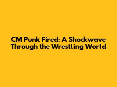 CM Punk Fired: A Shockwave Through the Wrestling World