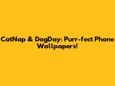 CatNap & DogDay: Purr-fect Phone Wallpapers!