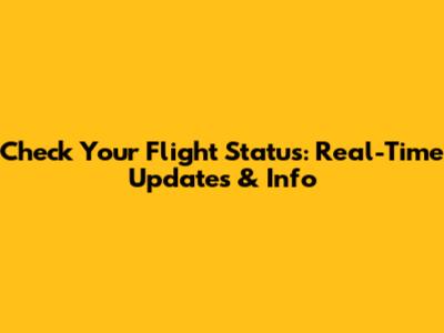 Check Your Flight Status: Real-Time Updates & Info