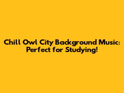 Chill Owl City Background Music: Perfect for Studying!