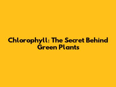 Chlorophyll: The Secret Behind Green Plants