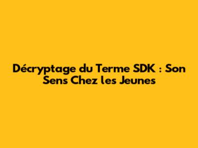Décryptage du Terme SDK : Son Sens Chez les Jeunes