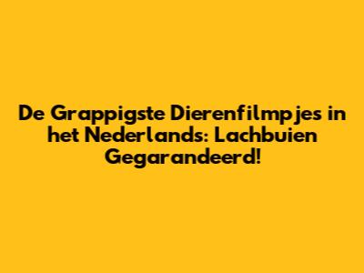 De Grappigste Dierenfilmpjes in het Nederlands: Lachbuien Gegarandeerd!