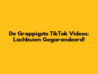 De Grappigste TikTok Video's: Lachbuien Gegarandeerd!