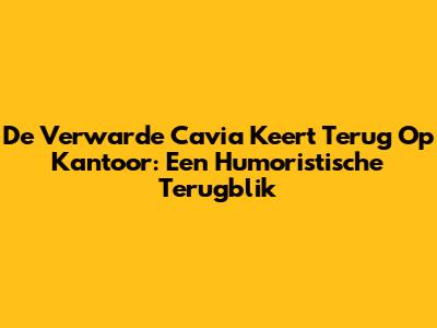 De Verwarde Cavia Keert Terug Op Kantoor: Een Humoristische Terugblik