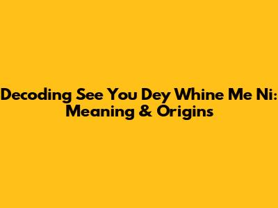 Decoding 'See You Dey Whine Me Ni': Meaning & Origins