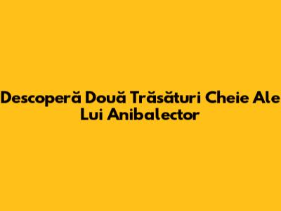 Descoperă Două Trăsături Cheie Ale Lui Anibalector