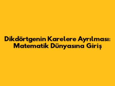 Dikdörtgenin Karelere Ayrılması: Matematik Dünyasına Giriş