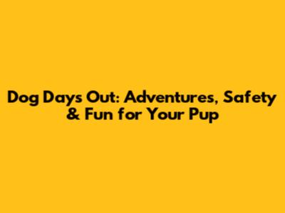 Dog Days Out: Adventures, Safety & Fun for Your Pup