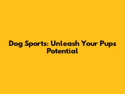 Dog Sports: Unleash Your Pup's Potential