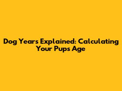 Dog Years Explained: Calculating Your Pup's Age