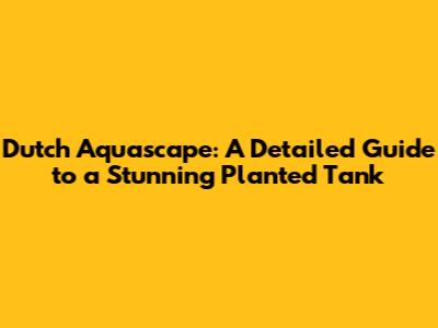 Dutch Aquascape: A Detailed Guide to a Stunning Planted Tank