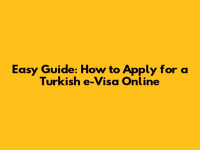 Easy Guide: How to Apply for a Turkish e-Visa Online