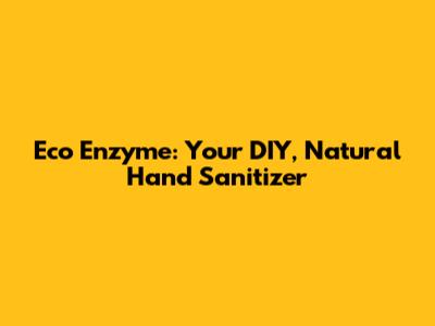 Eco Enzyme: Your DIY, Natural Hand Sanitizer