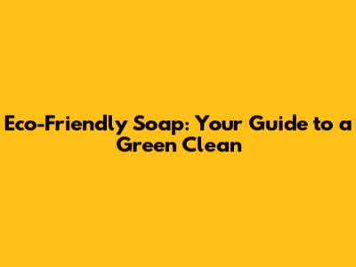 Eco-Friendly Soap: Your Guide to a Green Clean