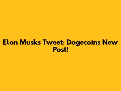 Elon Musk's Tweet: Dogecoin's New Post!