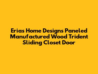 Erias Home Designs Paneled Manufactured Wood Trident Sliding Closet Door