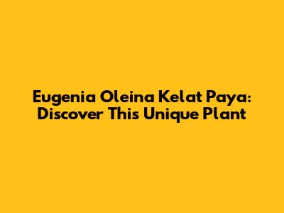 Eugenia Oleina Kelat Paya: Discover This Unique Plant