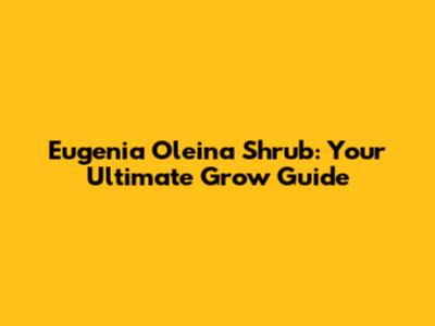 Eugenia Oleina Shrub: Your Ultimate Grow Guide