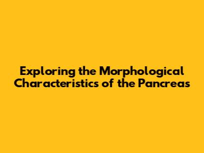 Exploring the Morphological Characteristics of the Pancreas
