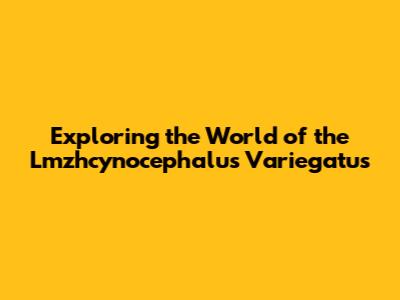 Exploring the World of the Lmzhcynocephalus Variegatus