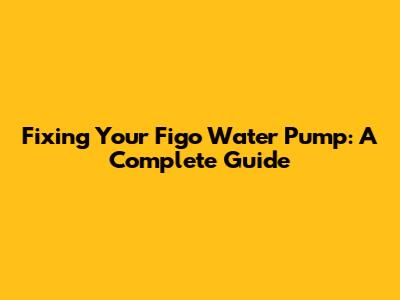 Fixing Your Figo Water Pump: A Complete Guide
