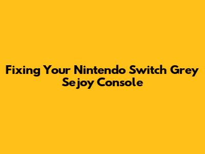 Fixing Your Nintendo Switch Grey Sejoy Console