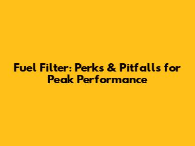 Fuel Filter: Perks & Pitfalls for Peak Performance