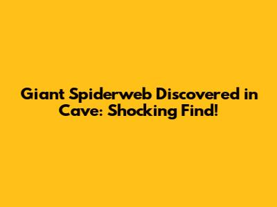 Giant Spiderweb Discovered in Cave: Shocking Find!