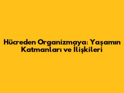 Hücreden Organizmaya: Yaşamın Katmanları ve İlişkileri