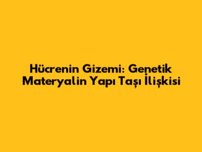 Hücrenin Gizemi: Genetik Materyalin Yapı Taşı İlişkisi