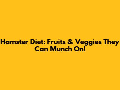 Hamster Diet: Fruits & Veggies They Can Munch On!