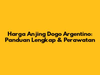 Harga Anjing Dogo Argentino: Panduan Lengkap & Perawatan