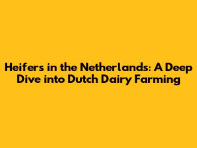 Heifers in the Netherlands: A Deep Dive into Dutch Dairy Farming